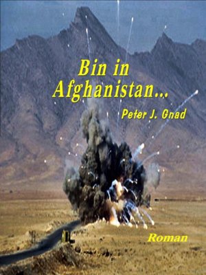 cover image of Bin in Afghanistan